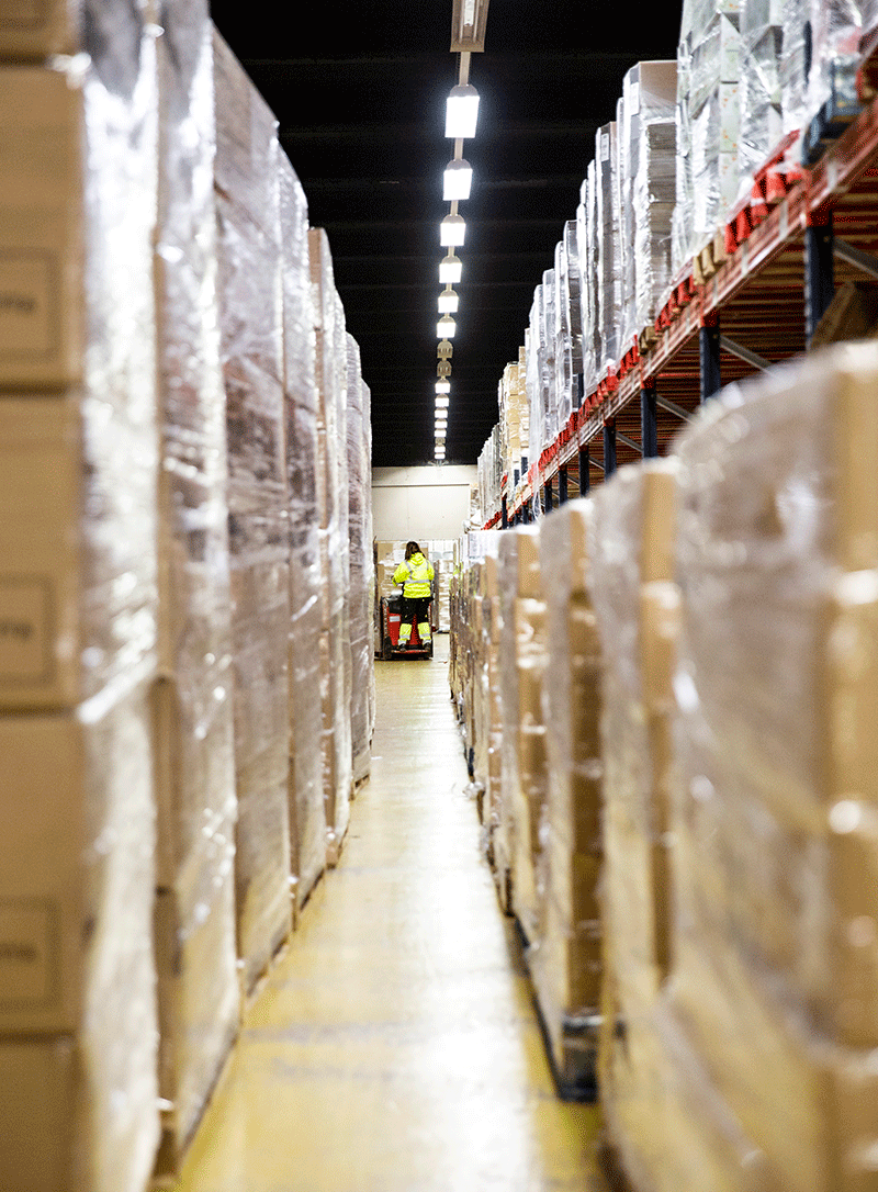 egd-logistica-etc